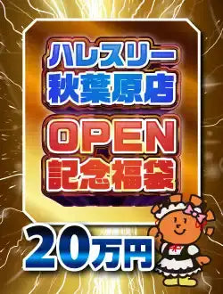 ハレスリー秋葉原店OPEN記念福袋 E 200,000円ver
