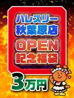 ハレスリー秋葉原店OPEN記念福袋 B 30,000円ver