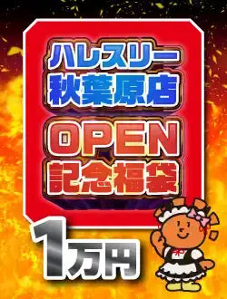 ハレスリー秋葉原店OPEN記念福袋 A 10,000円ver