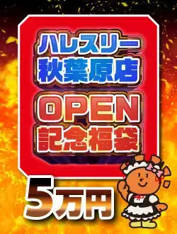ハレスリー秋葉原店OPEN記念福袋 C 50,000円ver