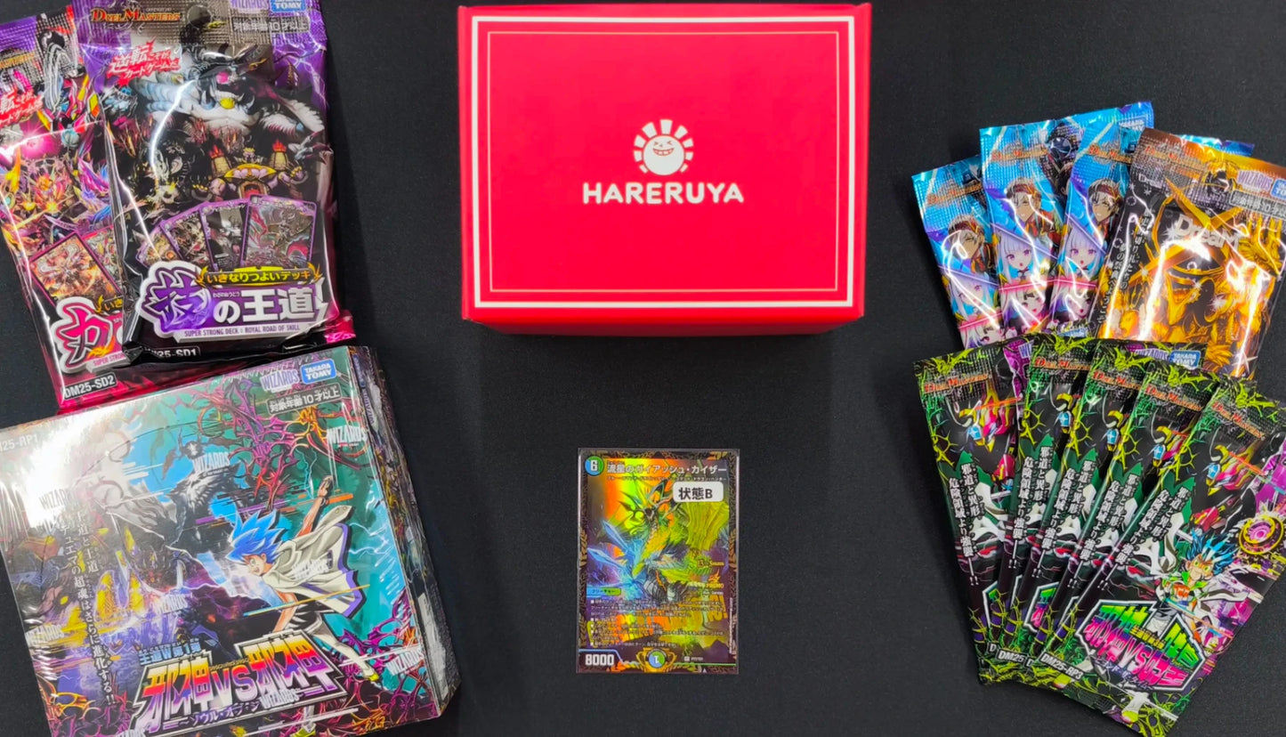 ハレスリー秋葉原店OPEN記念福袋 B 30,000円ver