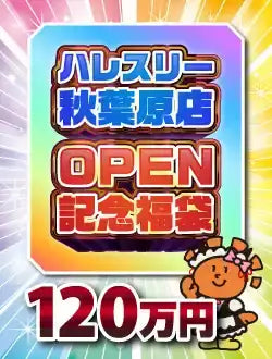 ハレスリー秋葉原店OPEN記念福袋 F 1,200,000円ver