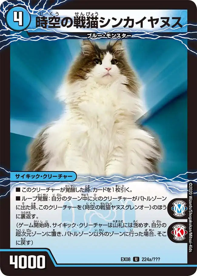 【状態B】《時空の戦猫シンカイヤヌス / 時空の戦猫ヤヌスグレンオー》U【DMEX-08】[224/???]