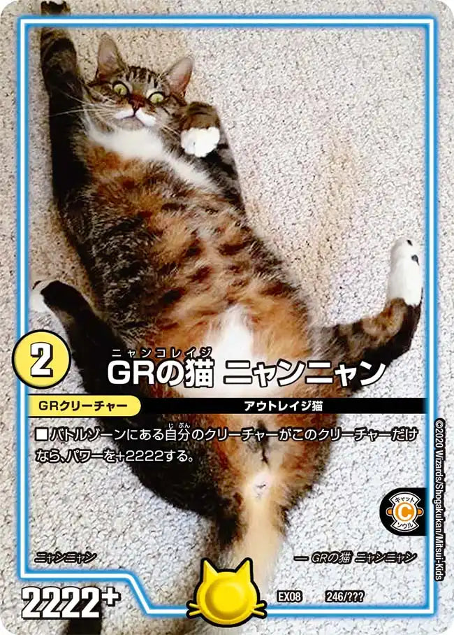 《ＧＲの猫 ニャンニャン》-【DMEX-08】[246/???]