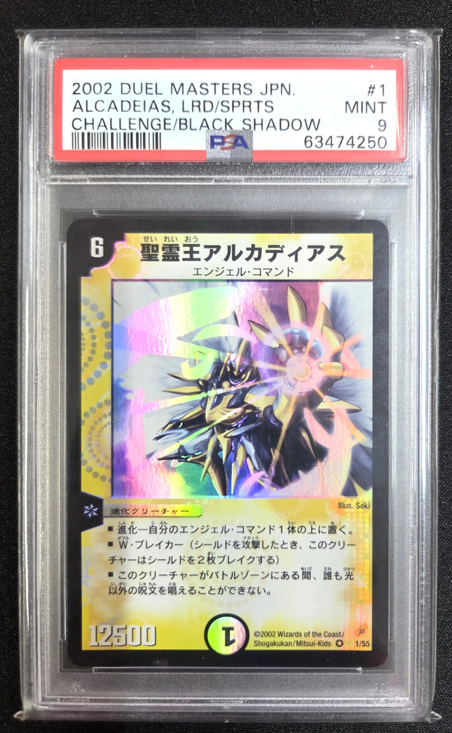 【PSA9】《聖霊王アルカディアス》VR【DM-04】[1/55]#0024