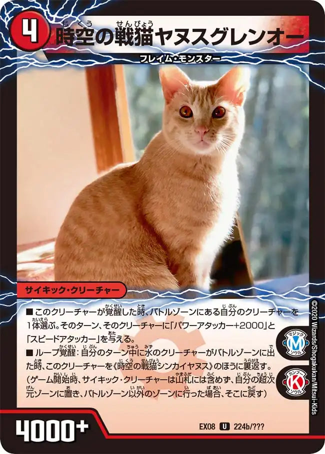 【状態B】《時空の戦猫シンカイヤヌス / 時空の戦猫ヤヌスグレンオー》U【DMEX-08】[224/???]