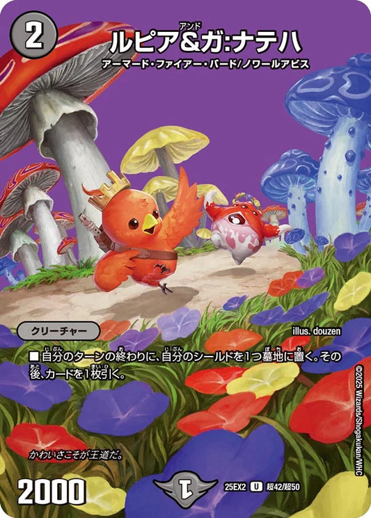 【状態B】《ルピア＆ガ:ナテハ》U【DM25-EX2】[超42/超50]