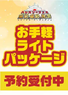 ハレスリーフェス：お手軽ライトパッケージ