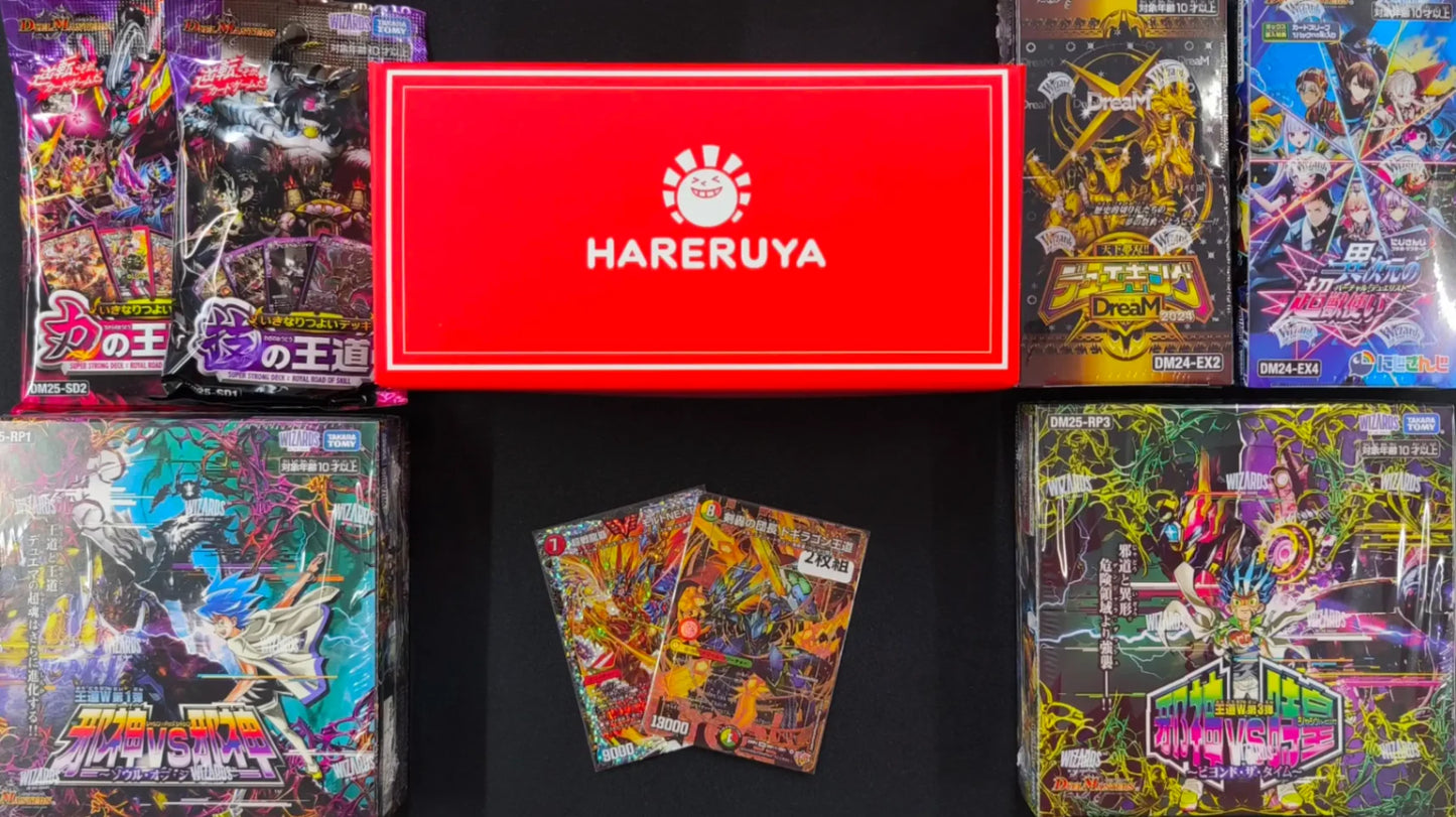 ハレスリー秋葉原店OPEN記念福袋 E 200,000円ver