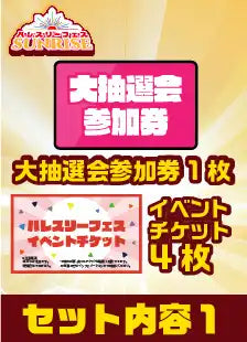 ハレスリーフェスSUNRISE：アーティストパッケージ（hippo先生 11:00～の部）
